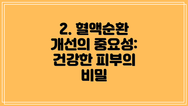 2. 혈액순환 개선의 중요성: 건강한 피부의 비밀