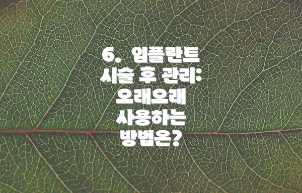 6.  임플란트 시술 후 관리: 오래오래 사용하는 방법은?
