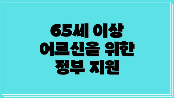65세 이상 어르신을 위한 정부 지원