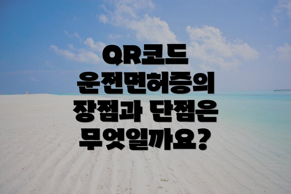 QR코드 운전면허증의 장점과 단점은 무엇일까요?