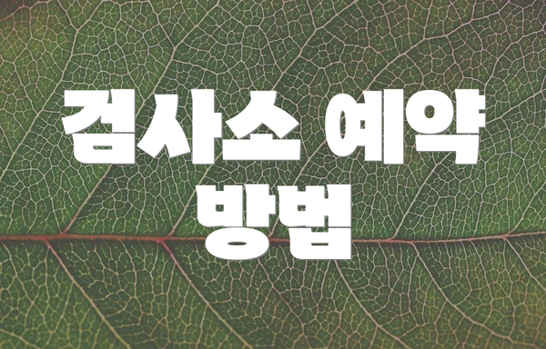 검사소 예약 방법