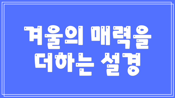 겨울의 매력을 더하는 설경