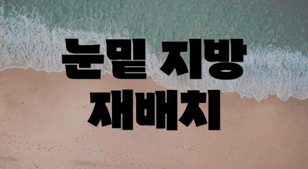 눈밑 지방 재배치