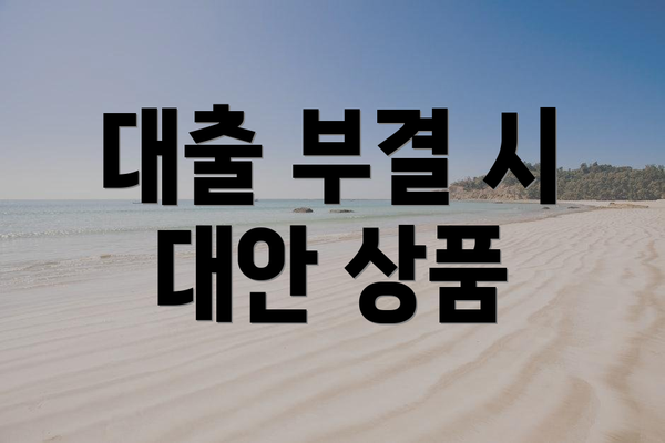 대출 부결 시 대안 상품