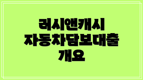 러시앤캐시 자동차담보대출 개요