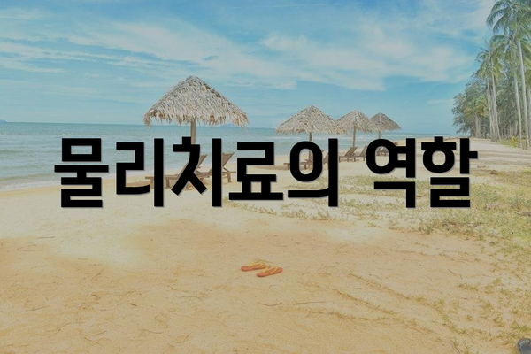 물리치료의 역할