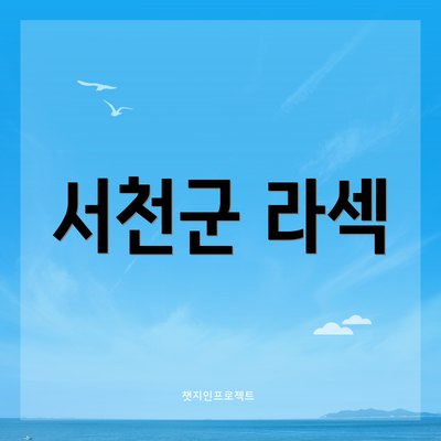 서천군 라섹