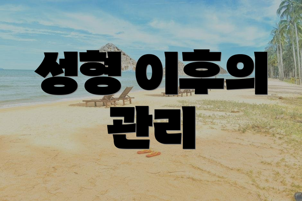 성형 이후의 관리