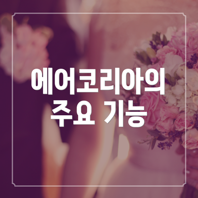 에어코리아의 주요 기능