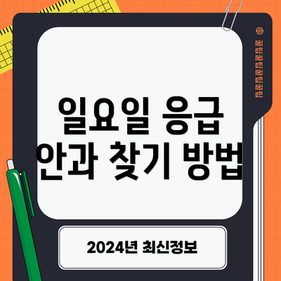 일요일 응급 안과 찾기 방법