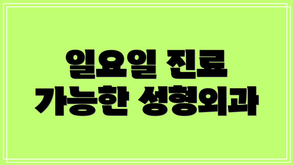 일요일 진료 가능한 성형외과