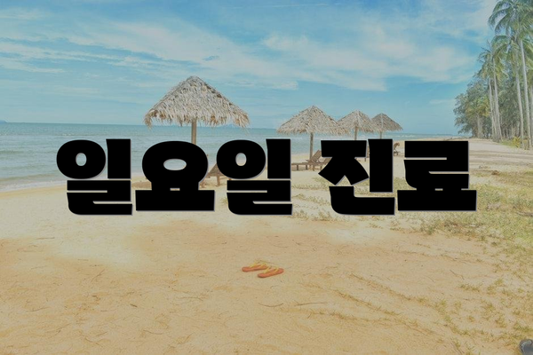 일요일 진료