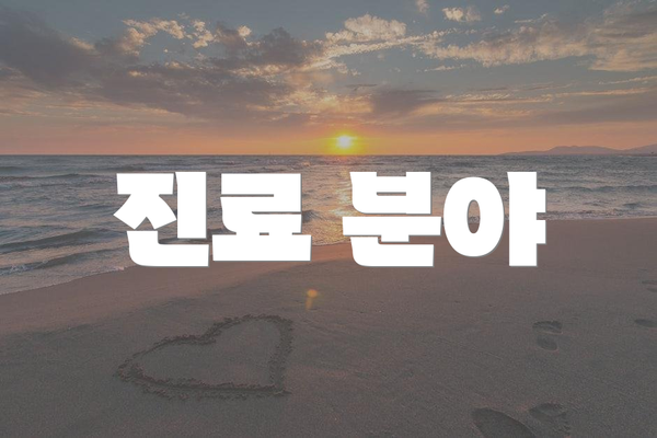 진료 분야