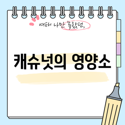 캐슈넛의 영양소