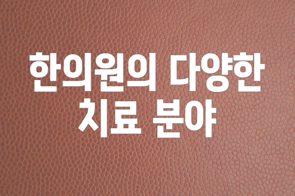 한의원의 다양한 치료 분야