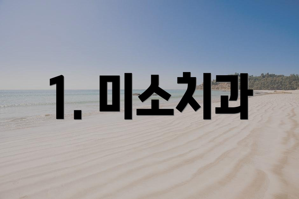 1. 미소치과