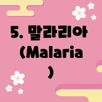 5. 말라리아 (Malaria)