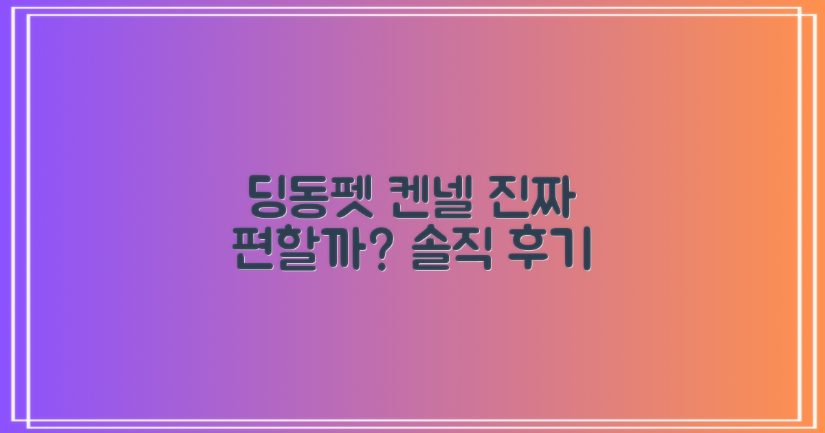 딩동펫 하드켄넬, 정말 편할까요?