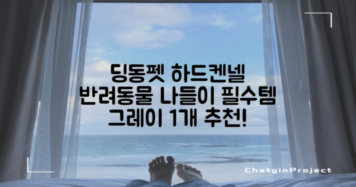 딩동펫 반려동물 나들이 하드켄넬, 그레이, 1개 추천 리뷰