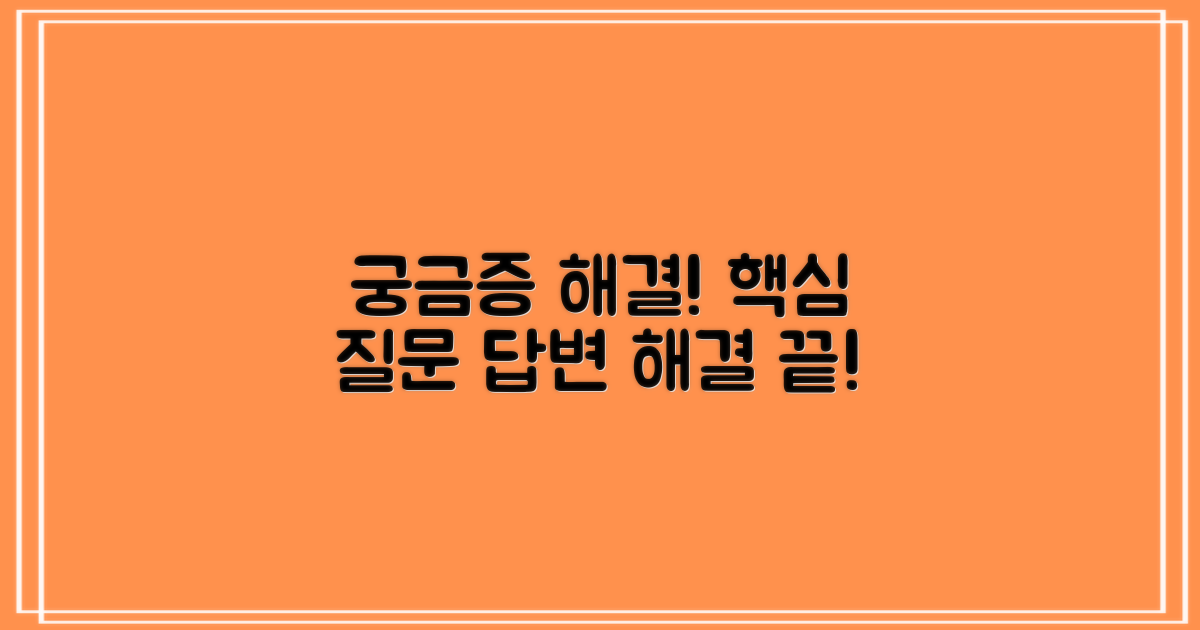 자주 묻는 질문