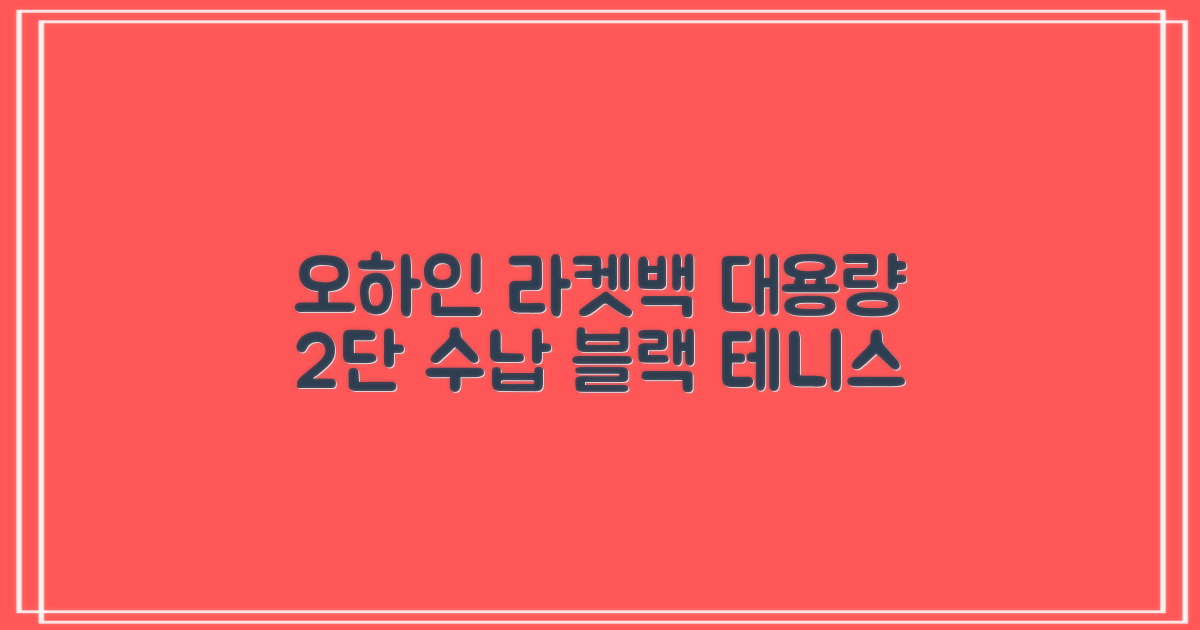 오하인 배드민턴 테니스 스쿼시 2단 대용량 라켓 가방, 블랙, 1개 추천 리뷰