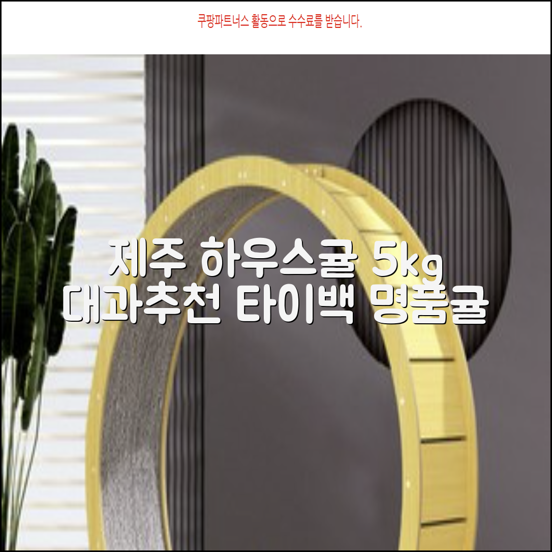[산지당도선별] 제주 명품 하우스 귤 타이백 감귤, 1박스, 5kg 대과 추천 리뷰