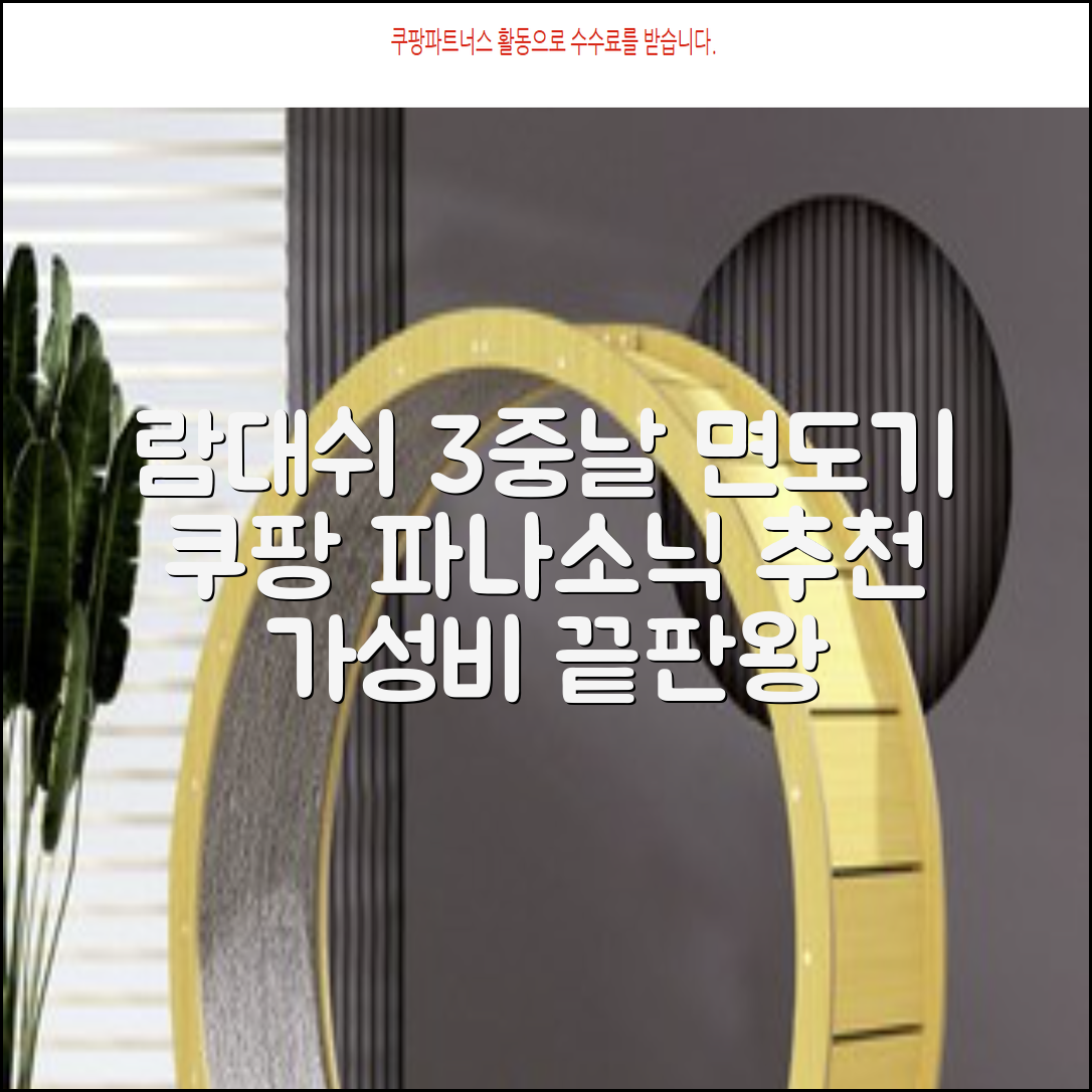 파나소닉 람대쉬 3중날 팜인쉐이버 전기면도기 추천 리뷰