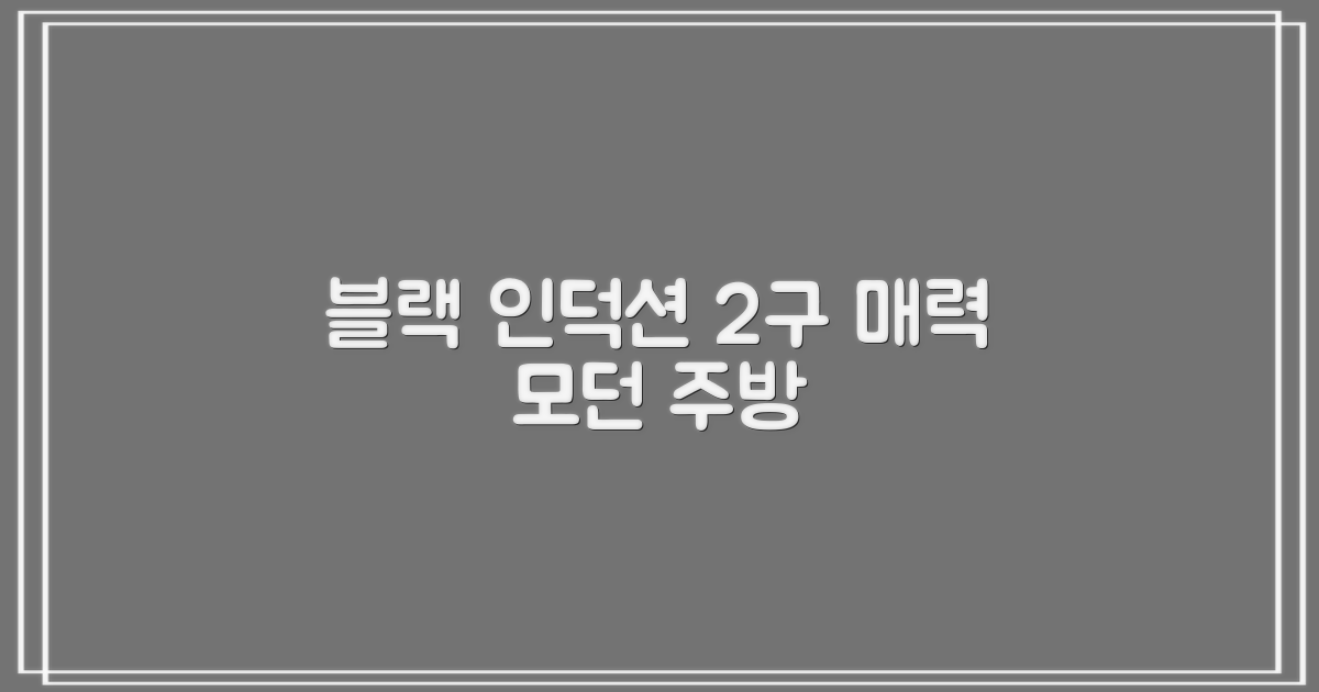 2구 인덕션, 블랙 디자인의 매력