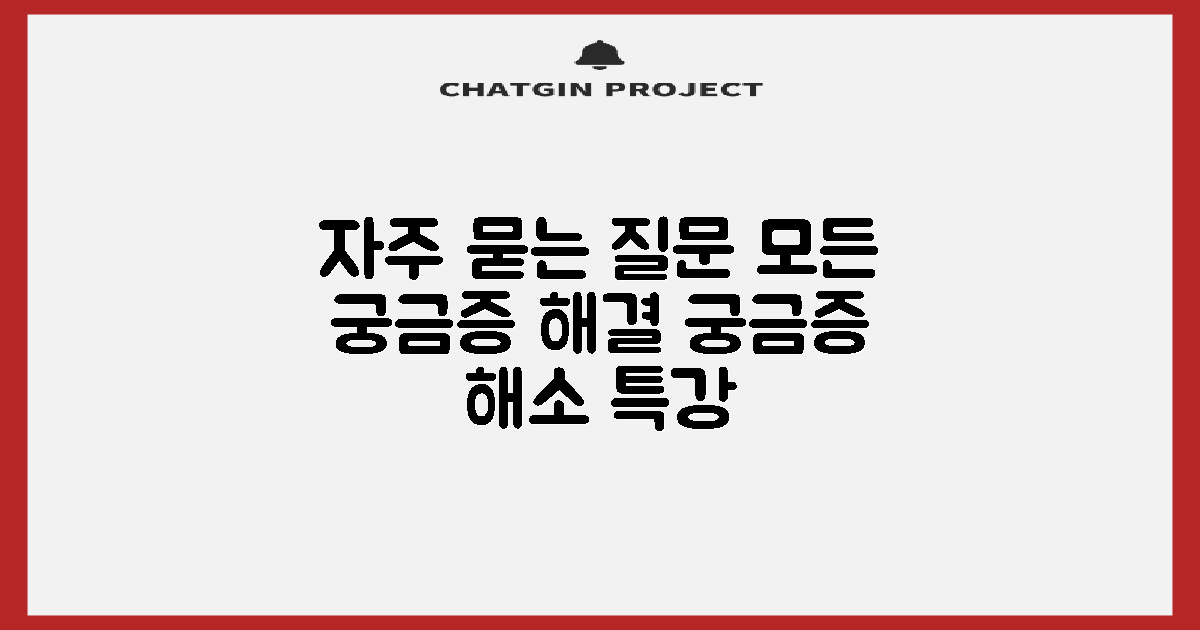 자주 묻는 질문