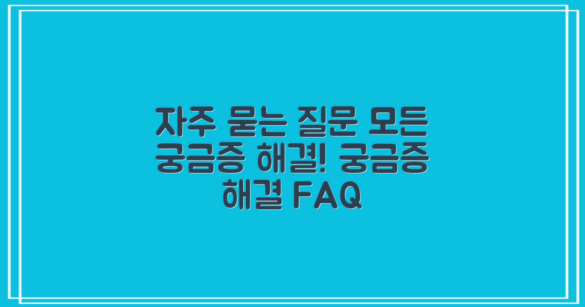 자주 묻는 질문
