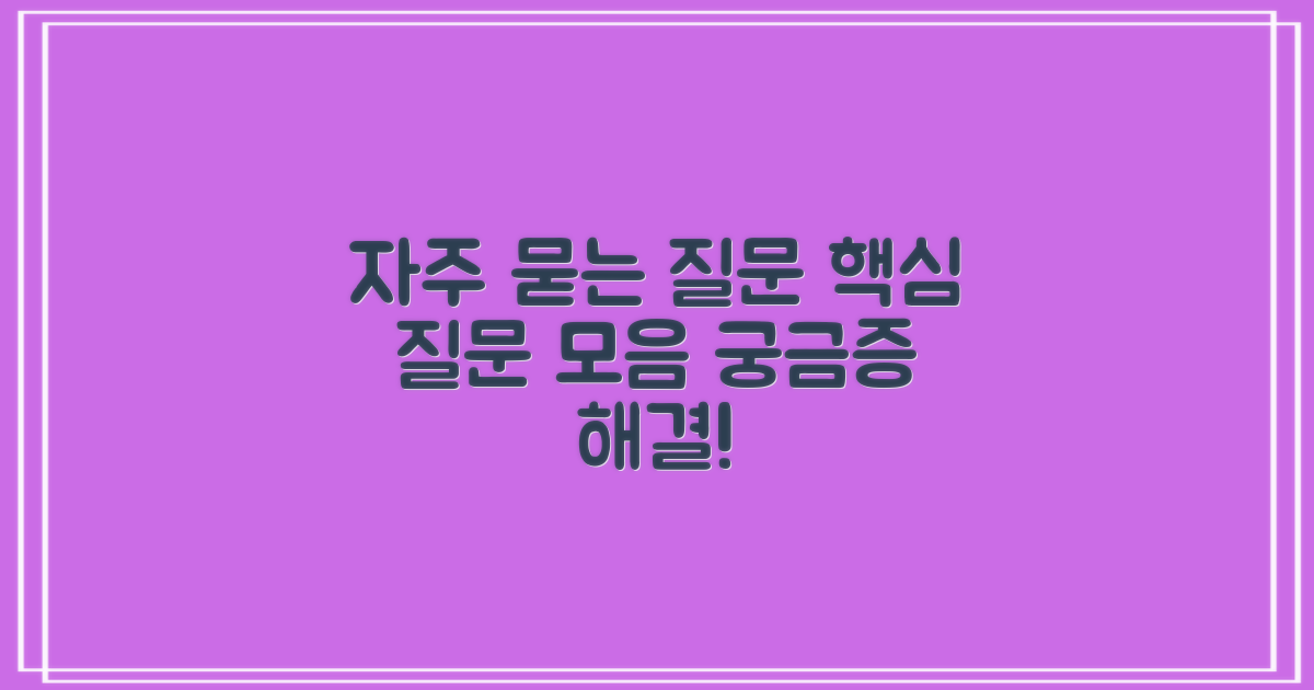 자주 묻는 질문