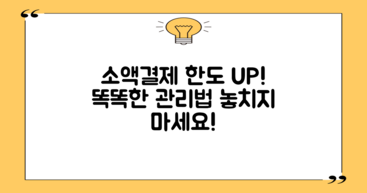 현명한 소액결제 한도 관리 가이드