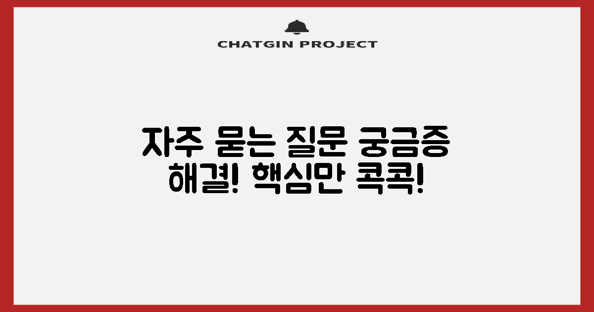 자주 묻는 질문