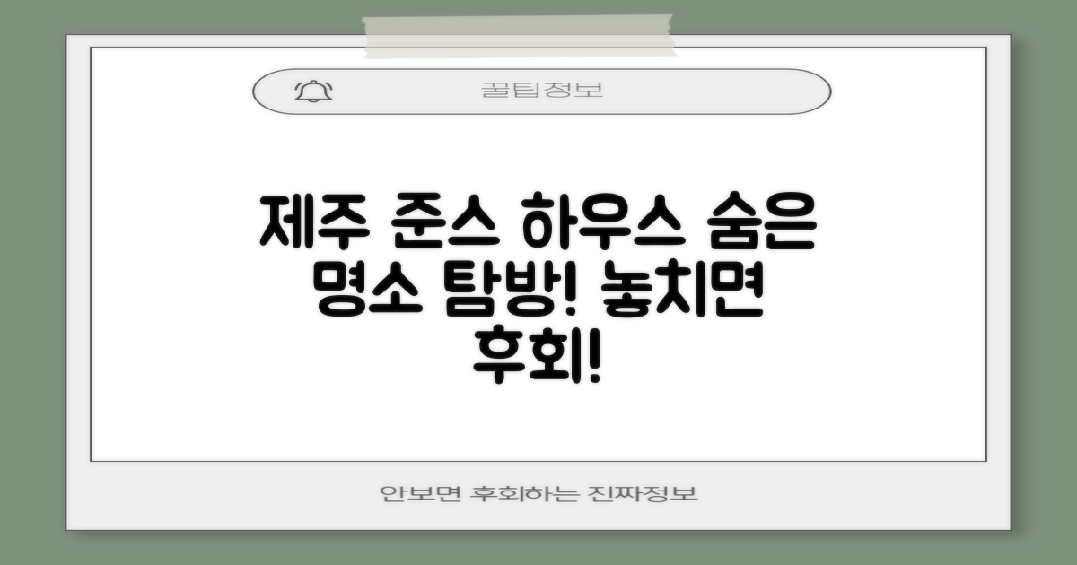 놓치면 후회할 제주도 준스 하우스, 숨은 명소 탐방!