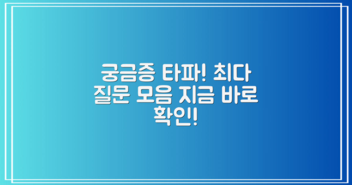 자주 묻는 질문