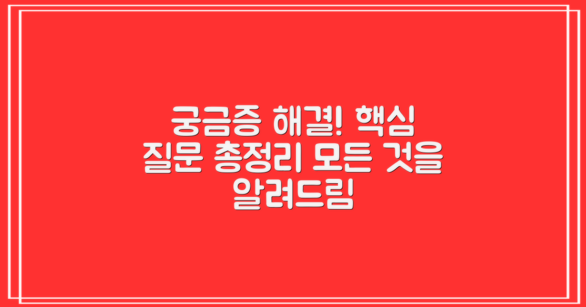 자주 묻는 질문