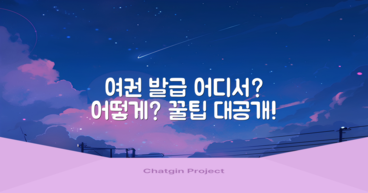 여권 발급, 어디서 어떻게? 최적의 선택은?