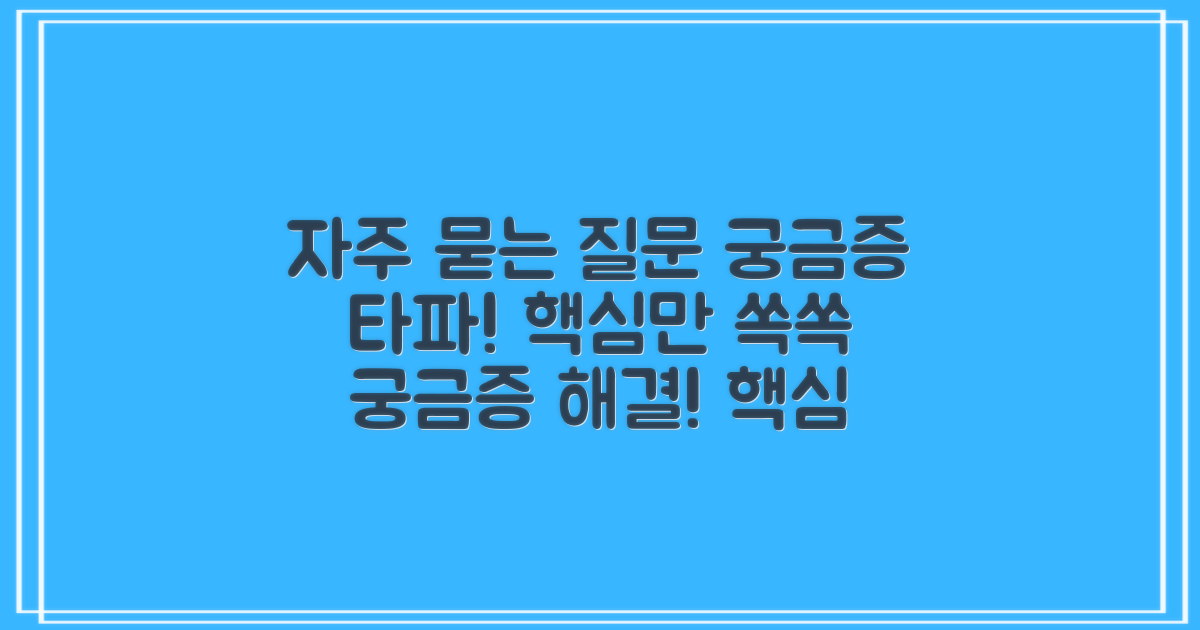 자주 묻는 질문