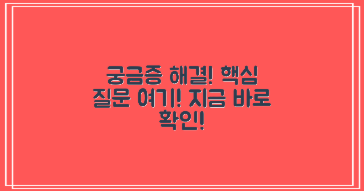 자주 묻는 질문